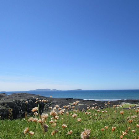 Devlin Farm Life Villa Westport Dış mekan fotoğraf